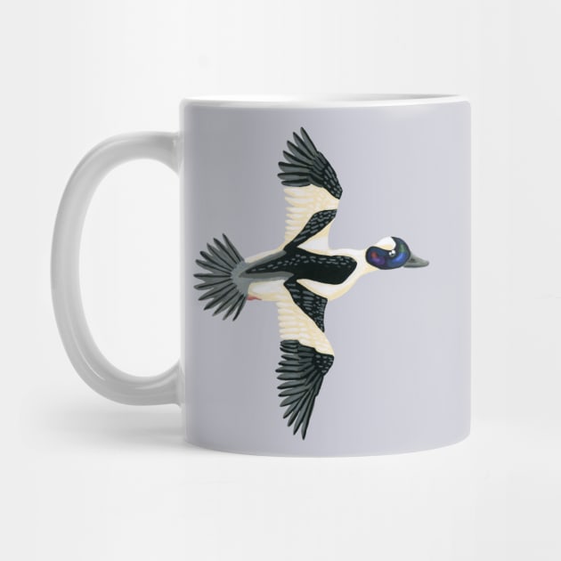 Bufflehead Duck by paintedpansy